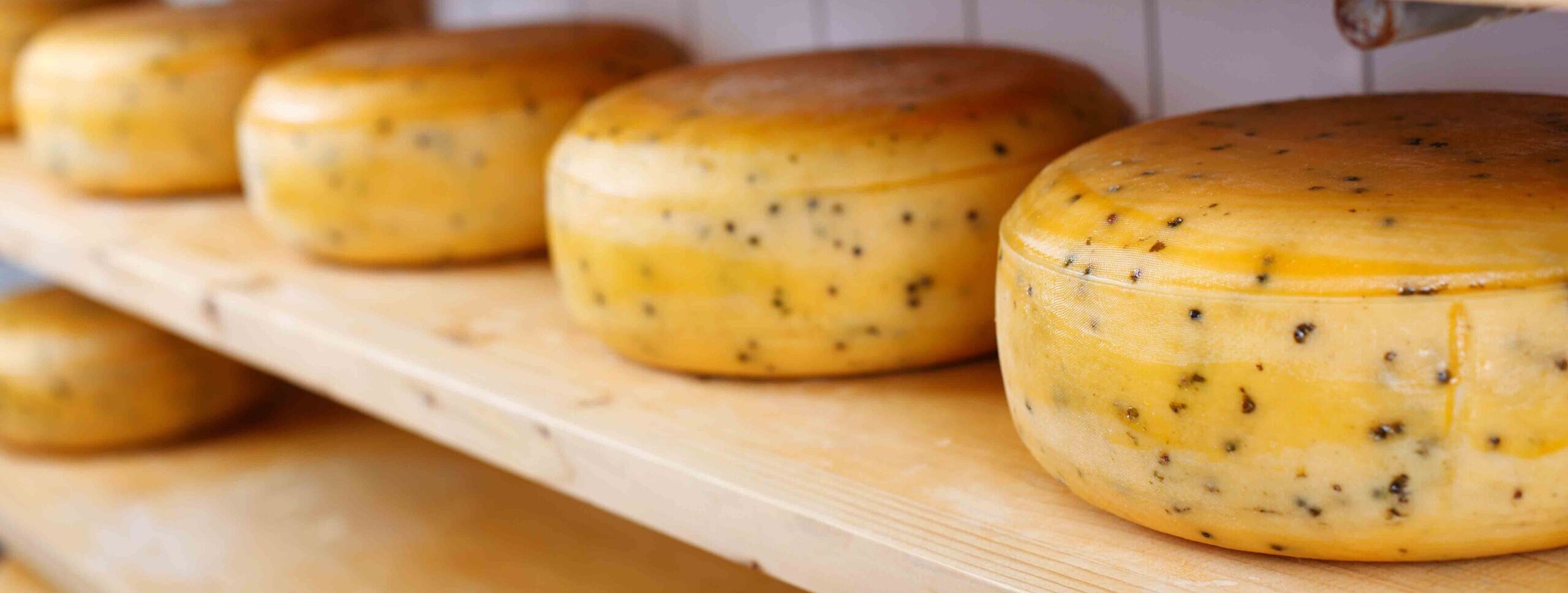 hyper royal and orange